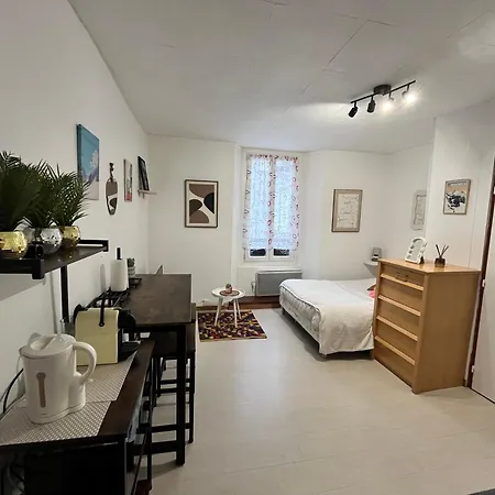 Le Cocon 54 A Rives Parking Facile * Rives (Isere)
